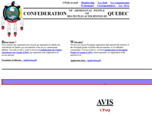 Tablet Screenshot of cpaq.ca